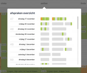 afspraken overzicht