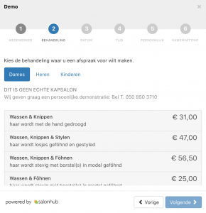 Salonhub online widget met prijs